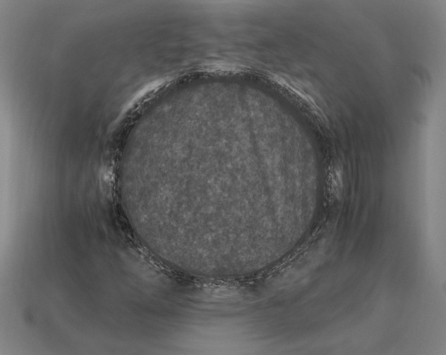 X0000115281254200911131821