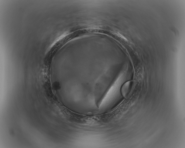 X0000115281255200911131821