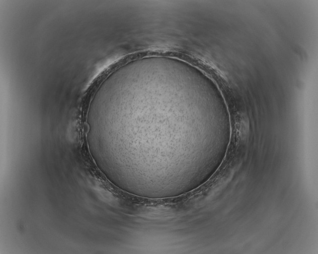 X0000115281256200911131821