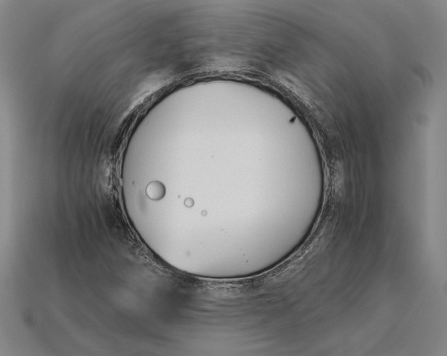 X0000115281258200911131821