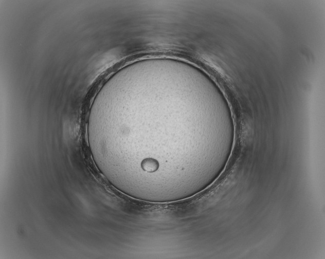 X0000115281259200911131821