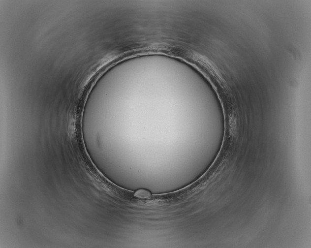 X0000115281260200911131821