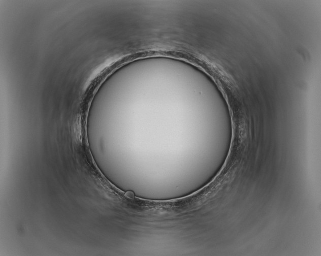 X0000115281262200911131821