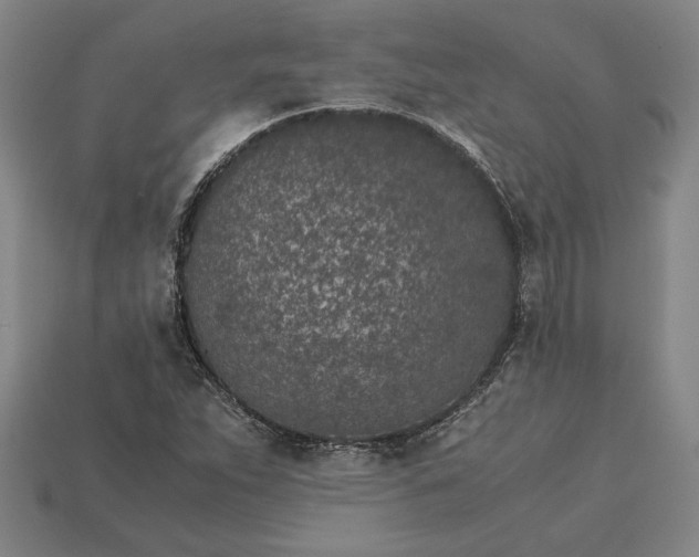 X0000115281263200911131821