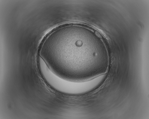 X0000115281264200911131821