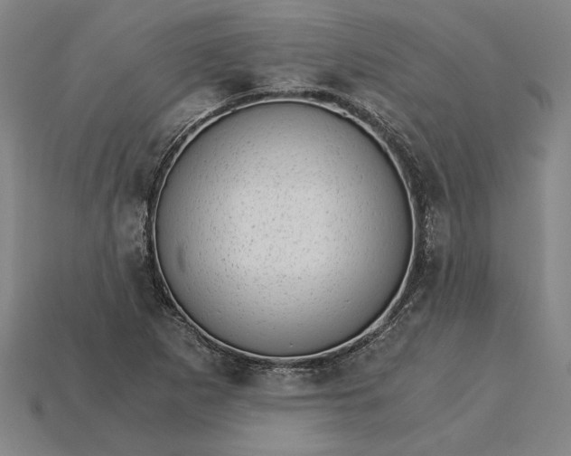 X0000115281265200911131821