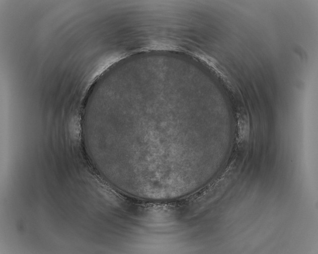 X0000115281266200911131821