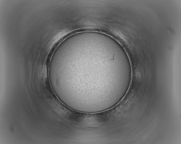 X0000115281267200911131821