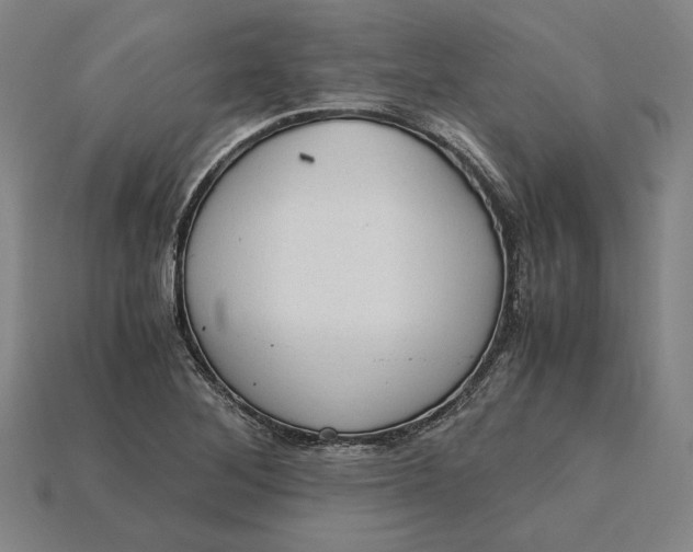 X0000115281268200911131821