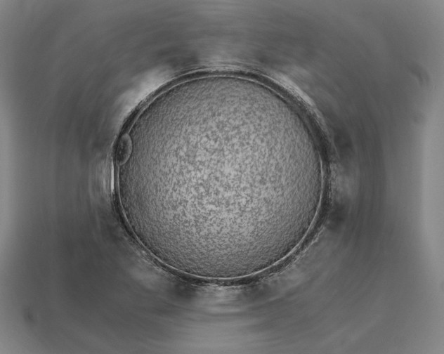 X0000115281269200911131821