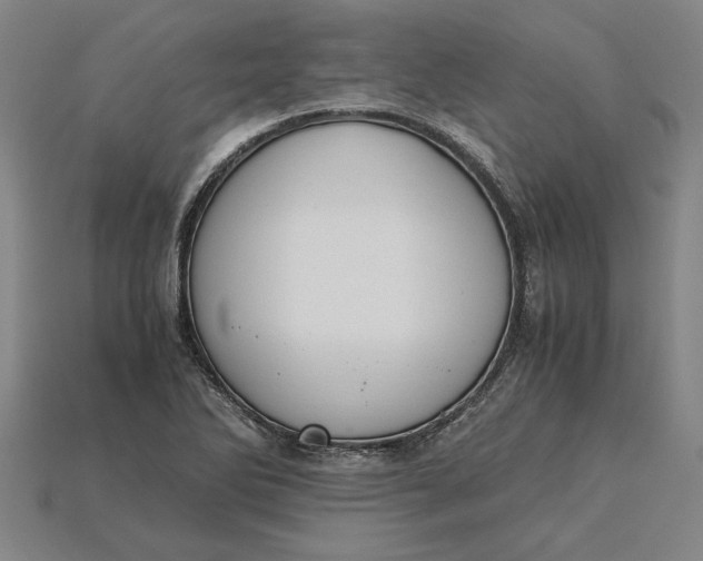 X0000115281270200911131821