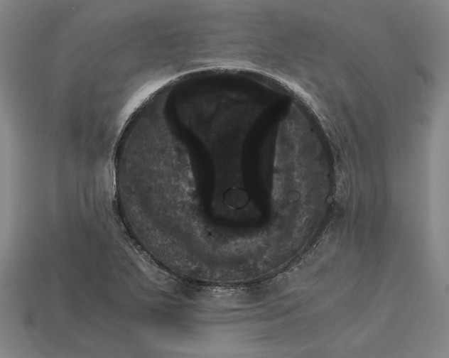 X0000115281271200911131821