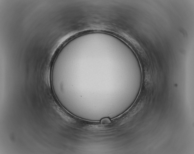 X0000115281272200911131821