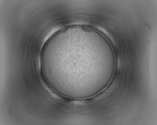 X0000115281274200911131821