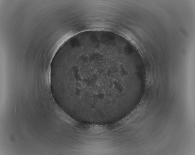 X0000115281275200911131821