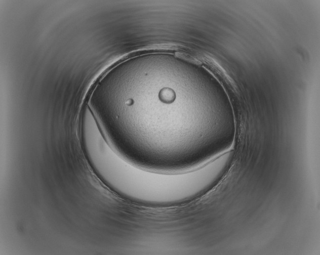 X0000115281276200911131821