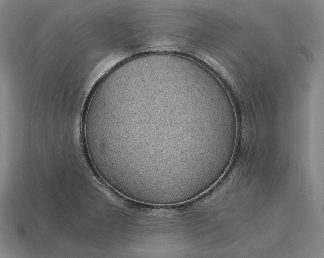 X0000115281277200911131821