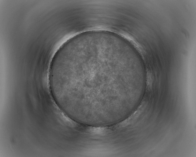 X0000115281278200911131821