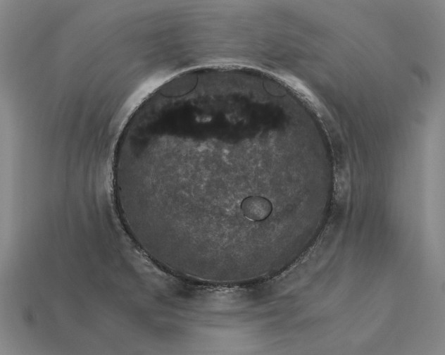 X0000115281279200911131821