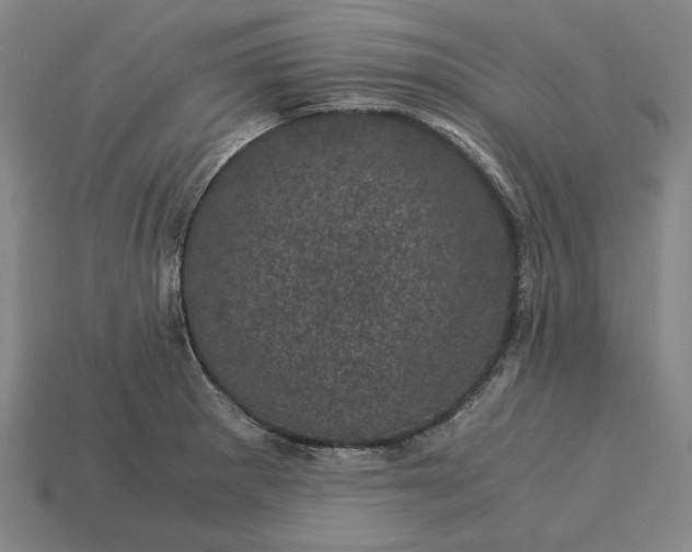 X0000115281281200911131821