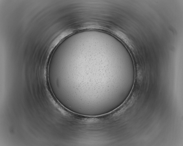 X0000115281282200911131821