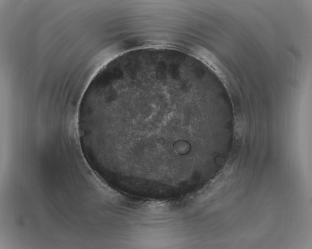 X0000115281283200911131821