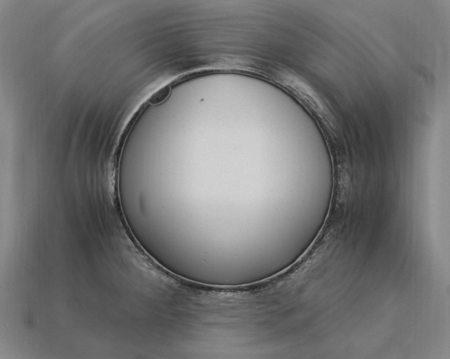 X0000115281284200911131821