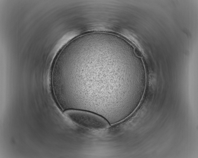 X0000115281285200911131821