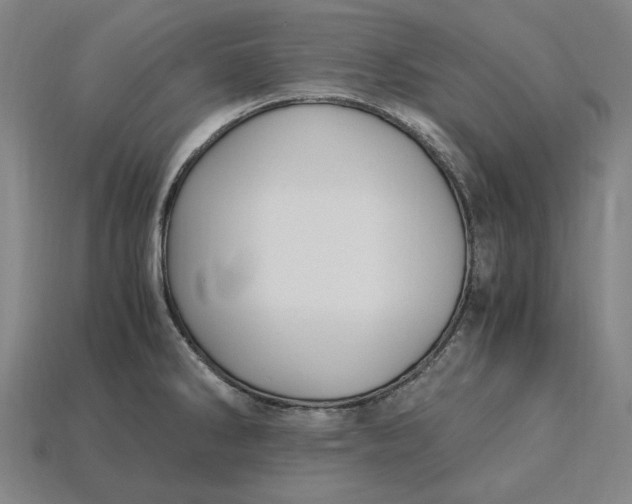 X0000115281286200911131821