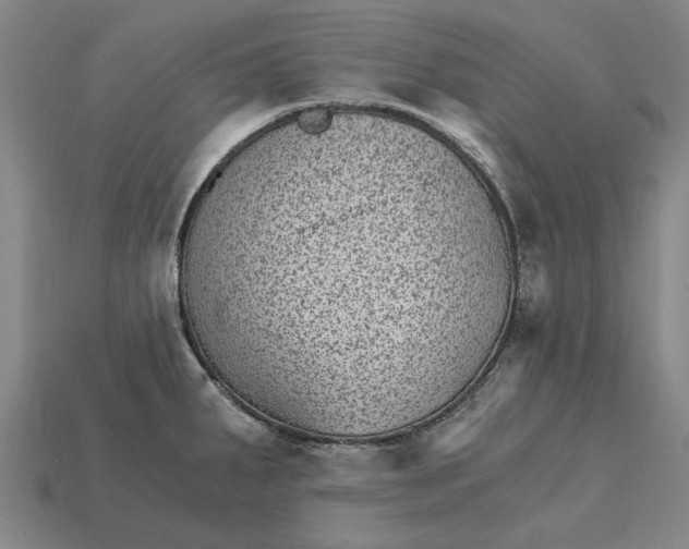 X0000115281287200911131821