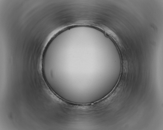 X0000115281288200911131821