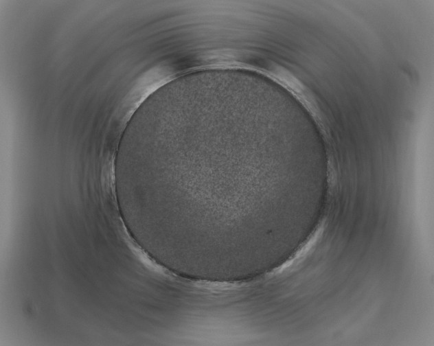 X0000115281289200911131821