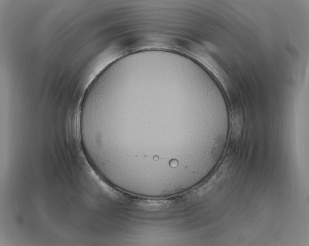 X0000115281290200911131821