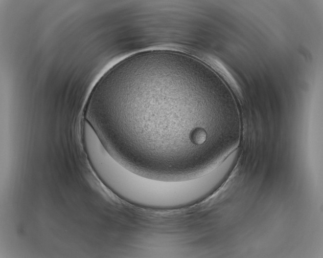 X0000115281292200911131821