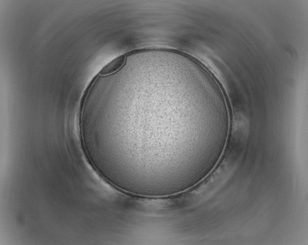 X0000115281293200911131821