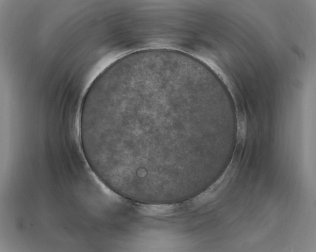 X0000115281294200911131821