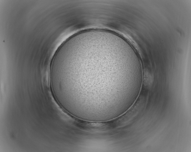 X0000115281295200911131821