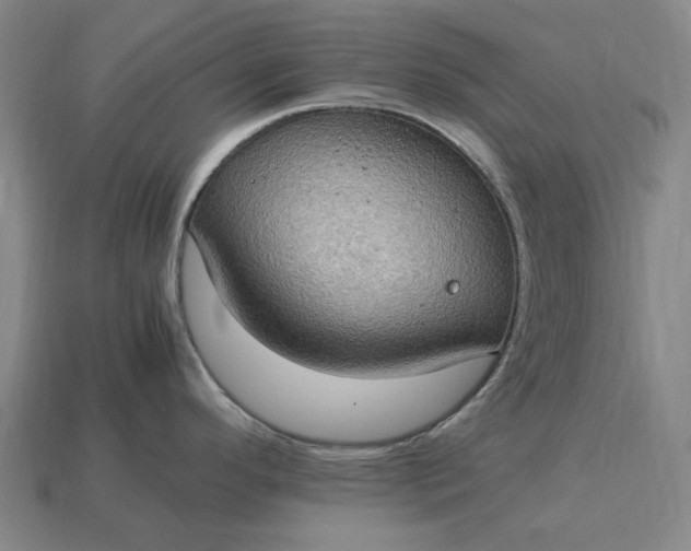 X0000115281296200911131821