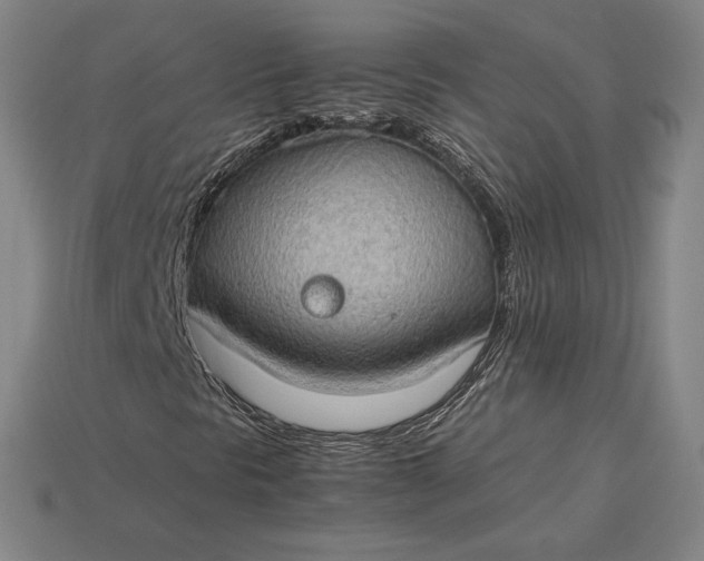 X0000115281297200911131820