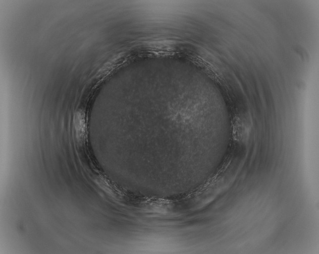 X0000115281298200911131820