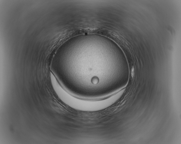 X0000115281299200911131820