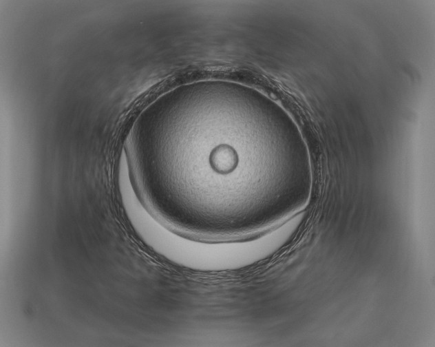 X0000115281301200911131820