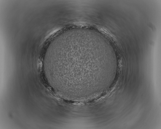 X0000115281302200911131820