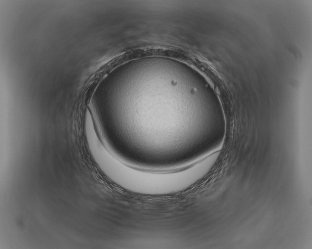 X0000115281303200911131820