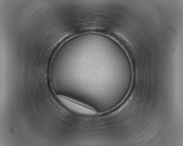 X0000115281305200911131820