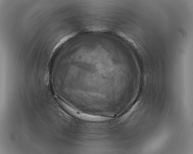 X0000115281306200911131820