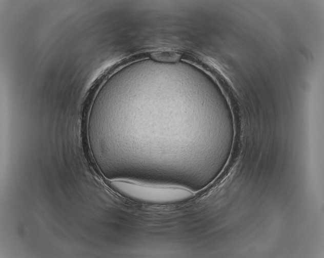 X0000115281307200911131820