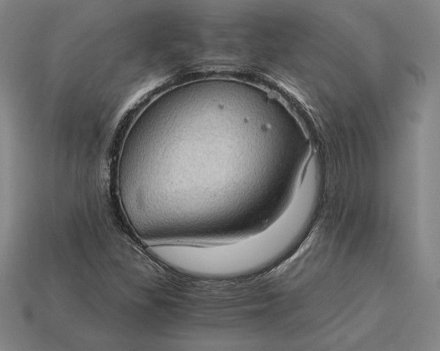 X0000115281309200911131820