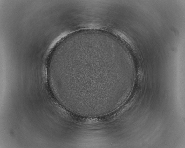 X0000115281310200911131820