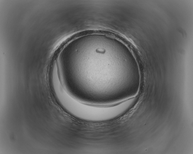 X0000115281311200911131820